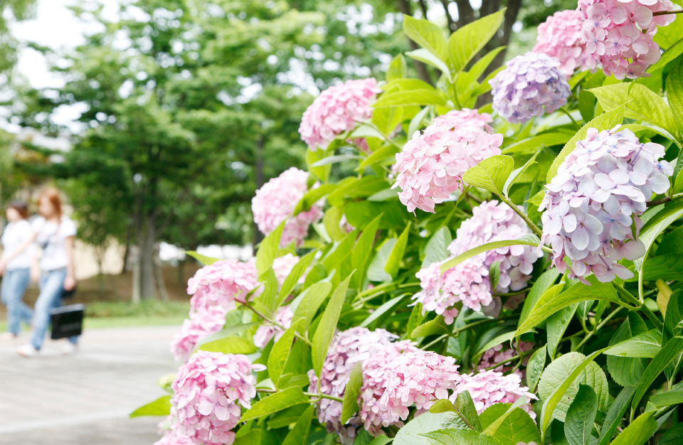 ココロ温度、上昇中