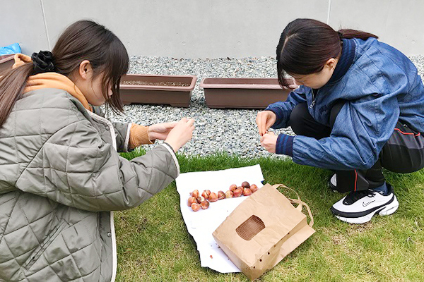 エレノア館（和泉キャンパス）の前にチューリップの球根植付けを行いました