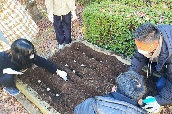 和泉キャンパスのチャペル前花壇にチューリップの球根植付けを行いました