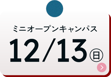 12/13(日)10:00~15:30