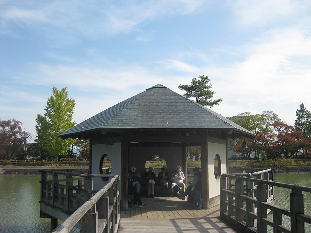 八条が池の画像