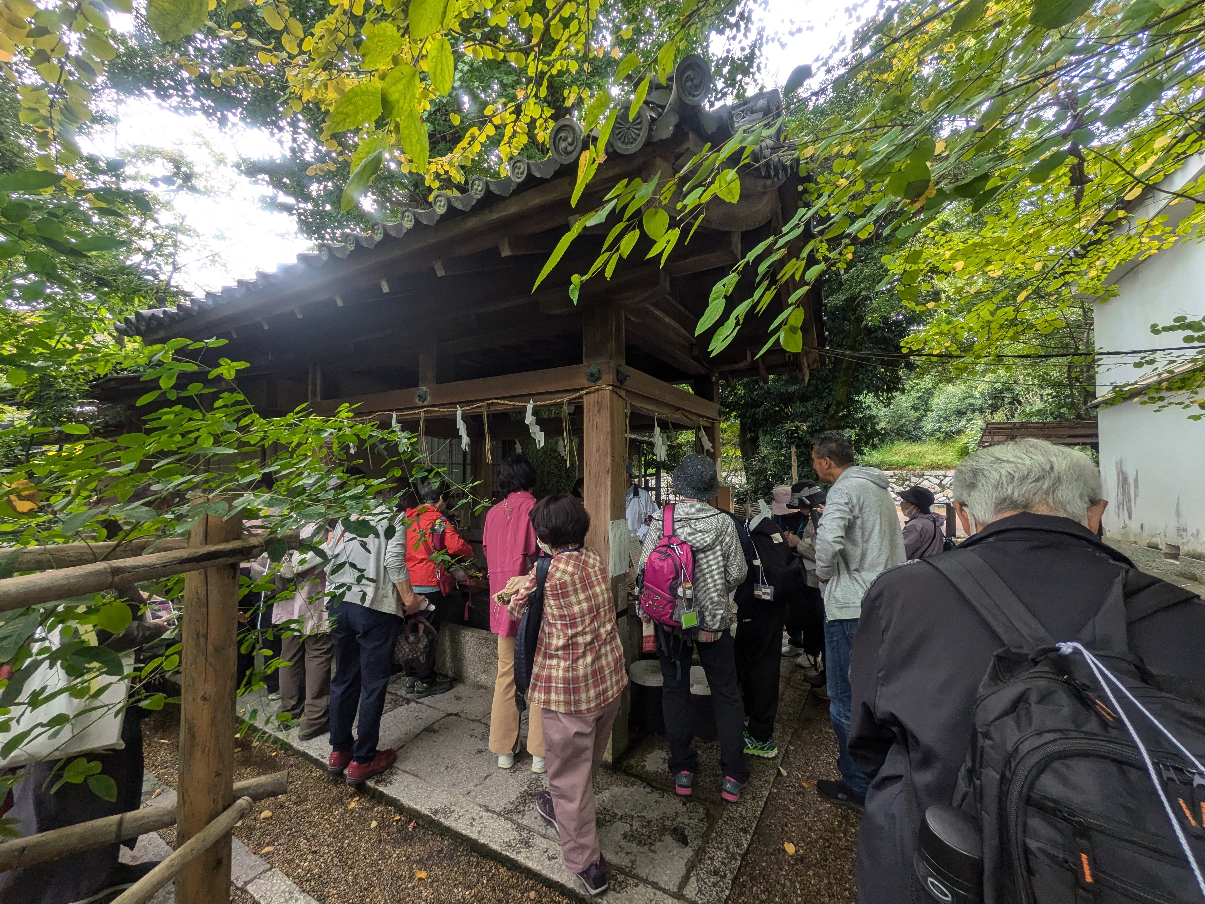 京の三名水“染井”の画像