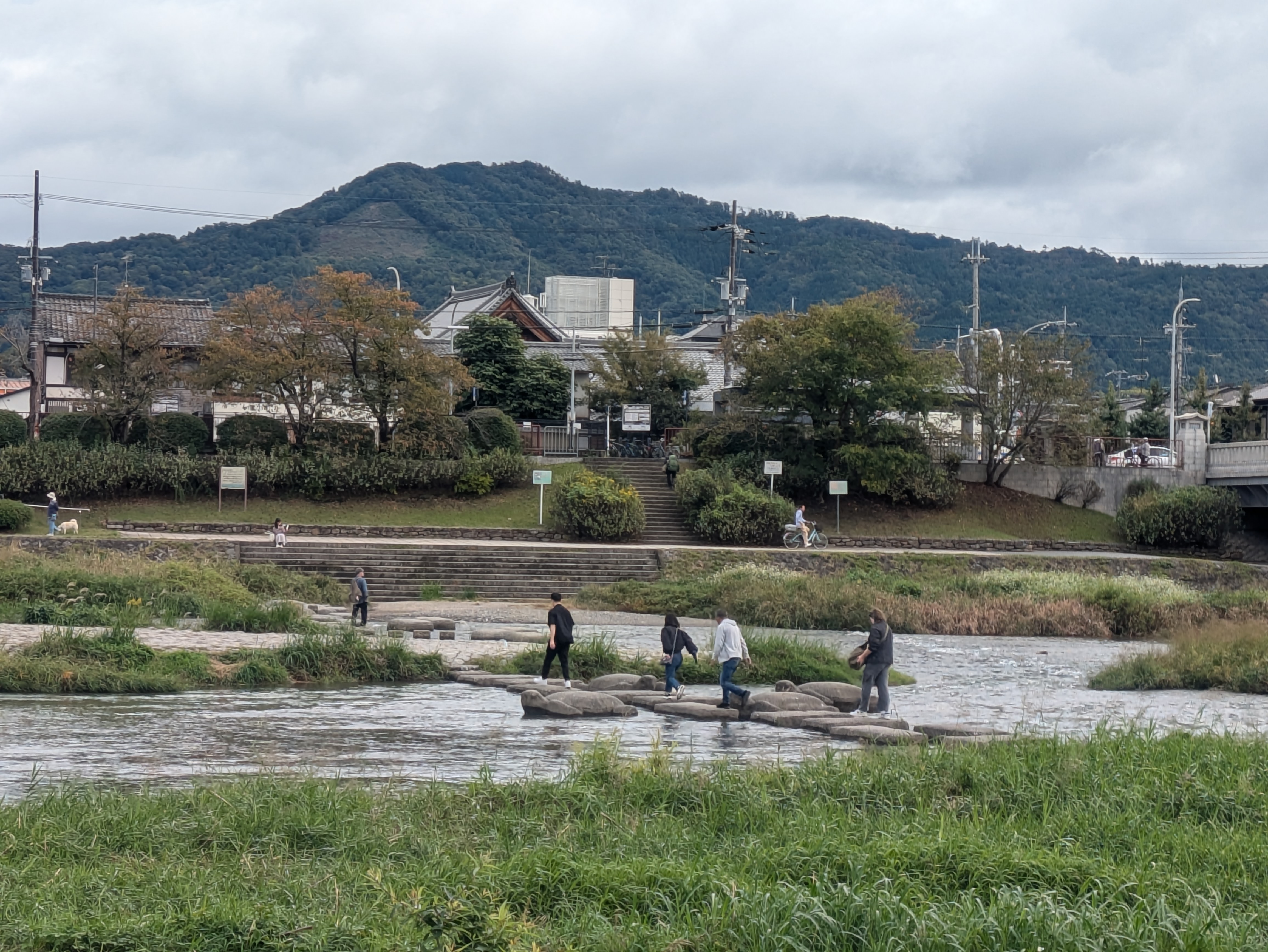 賀茂川の飛び石の画像