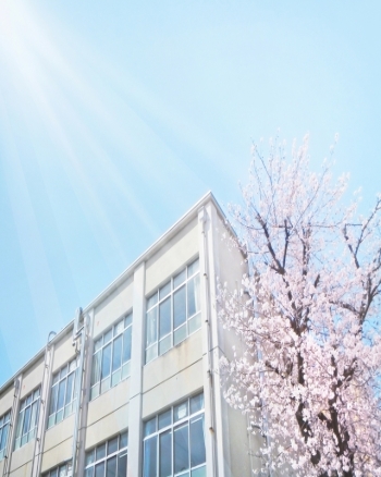 学校司書Nさん　　　　　　　　　　司書資格取得後の挑戦