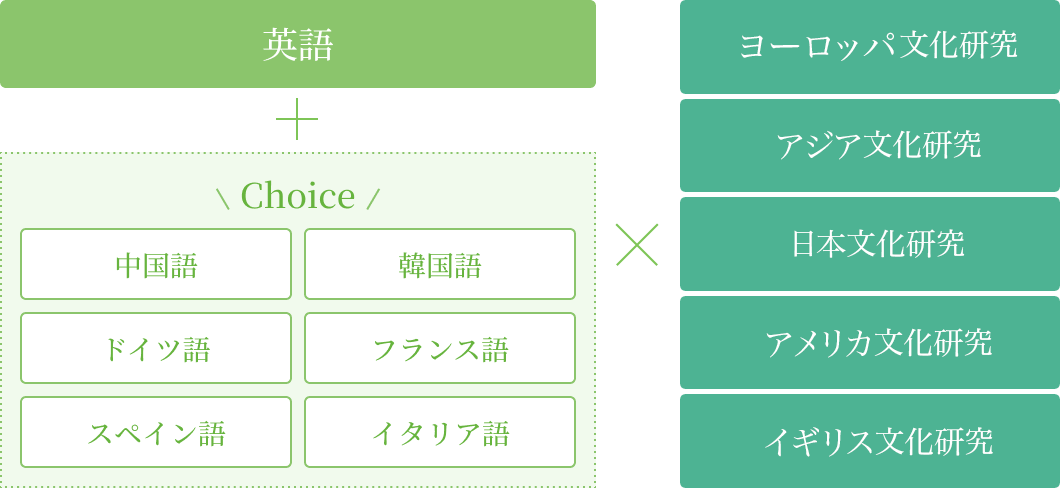 英語と選択言語、選択文化研究の組み合わせを示すフロー図