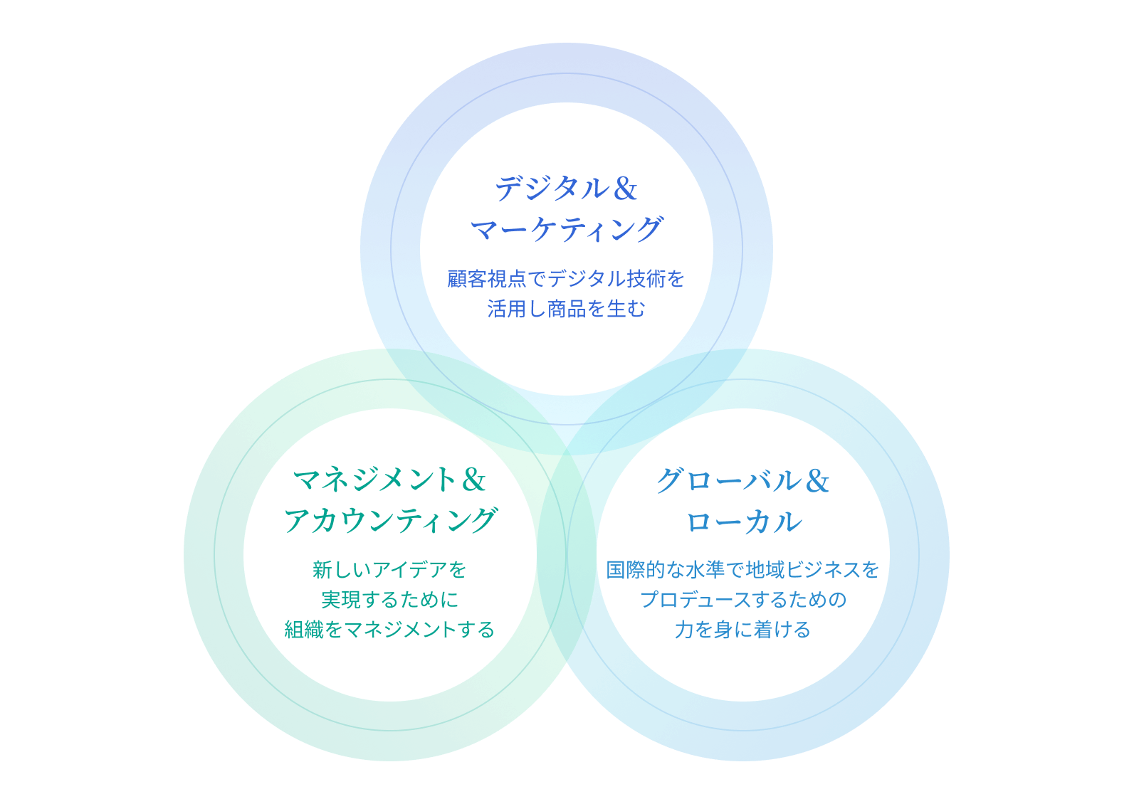 経営学部 3つのスタディエリアの図