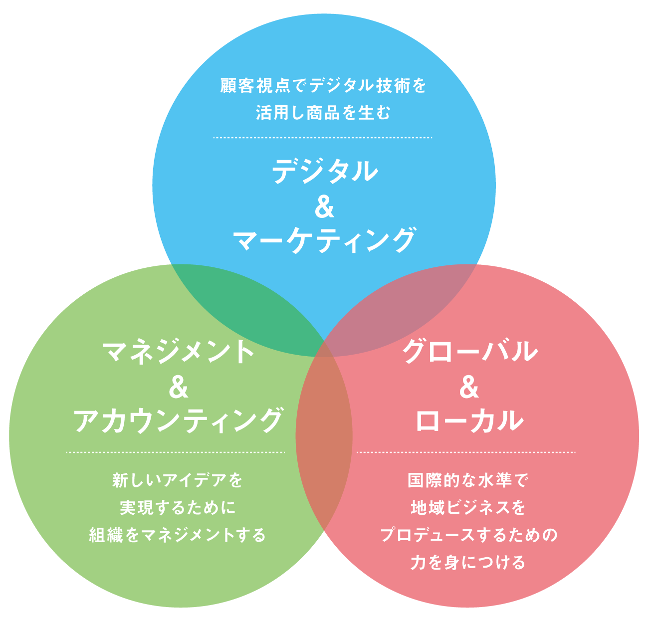 経営学部 ３つのスタディアエリア