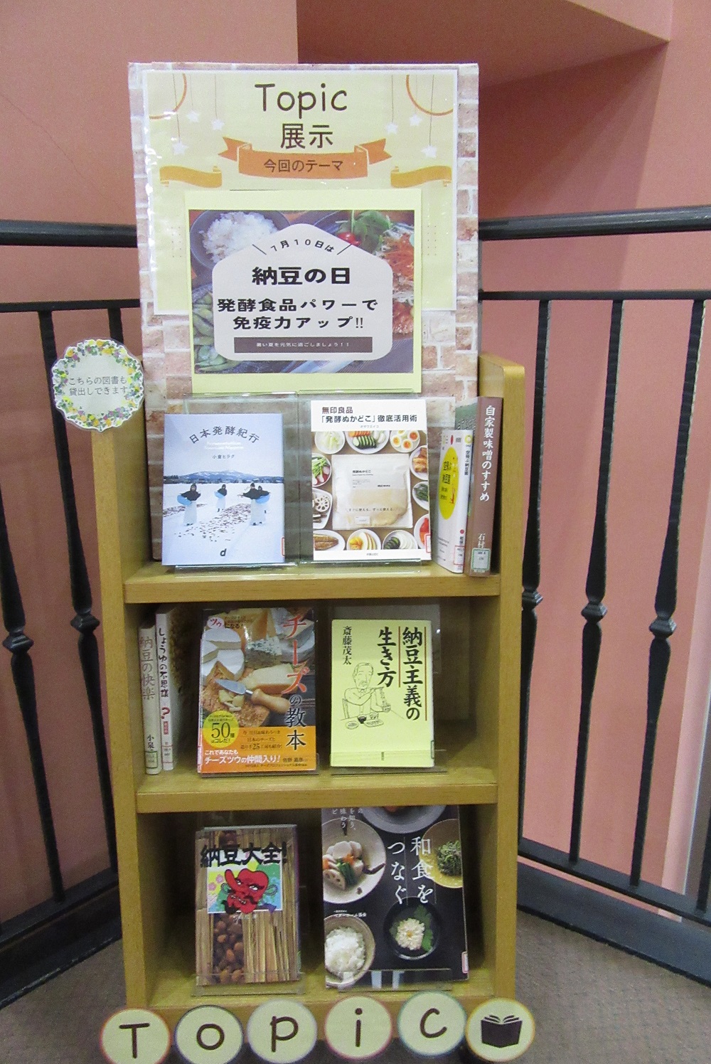 展示の様子