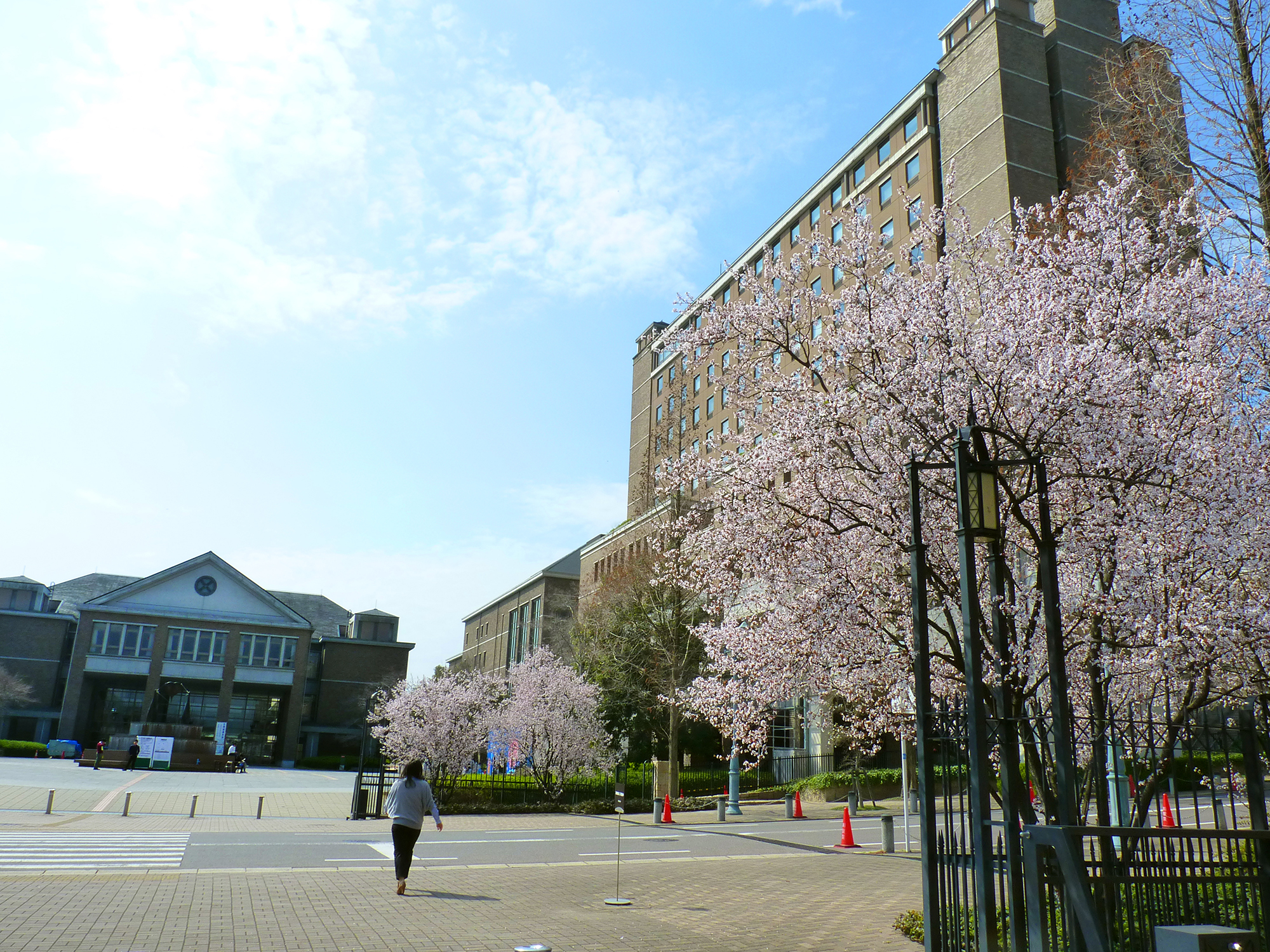 春の桃山学院大学