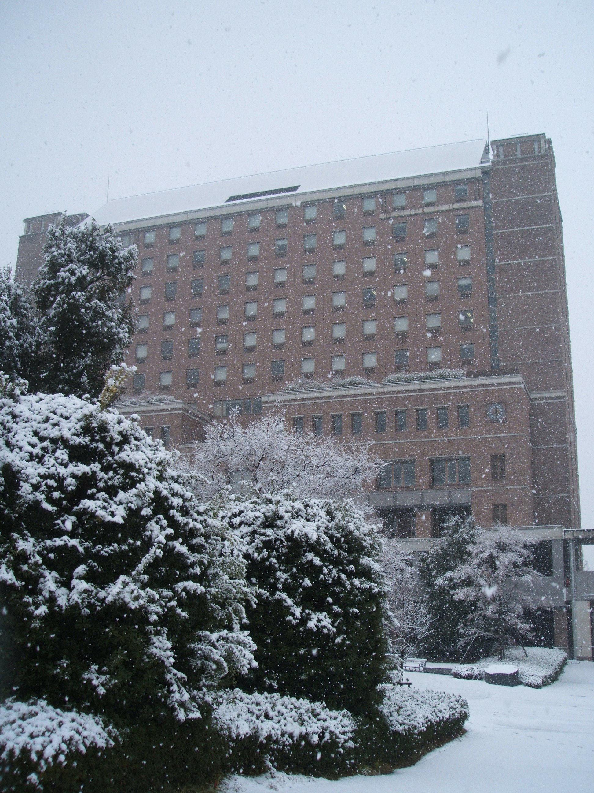 冬の桃山学院大学